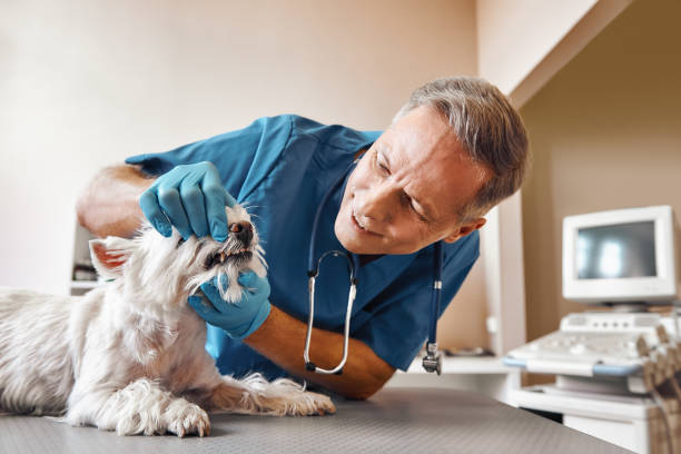 Best Emergency Dental Extractions in Phoenix, OR